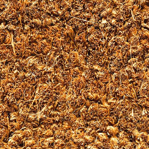 ARUBA 30 - Tapis brosse coco, coloris naturel